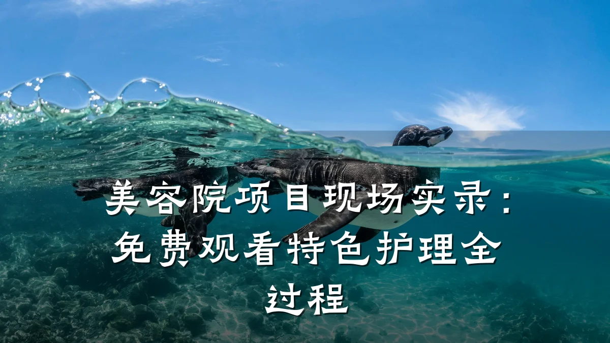 美容院项目现场实录:免费观看特色护理全过程