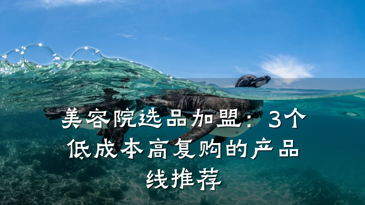 美容院选品加盟：3个低成本高复购的产品线推荐