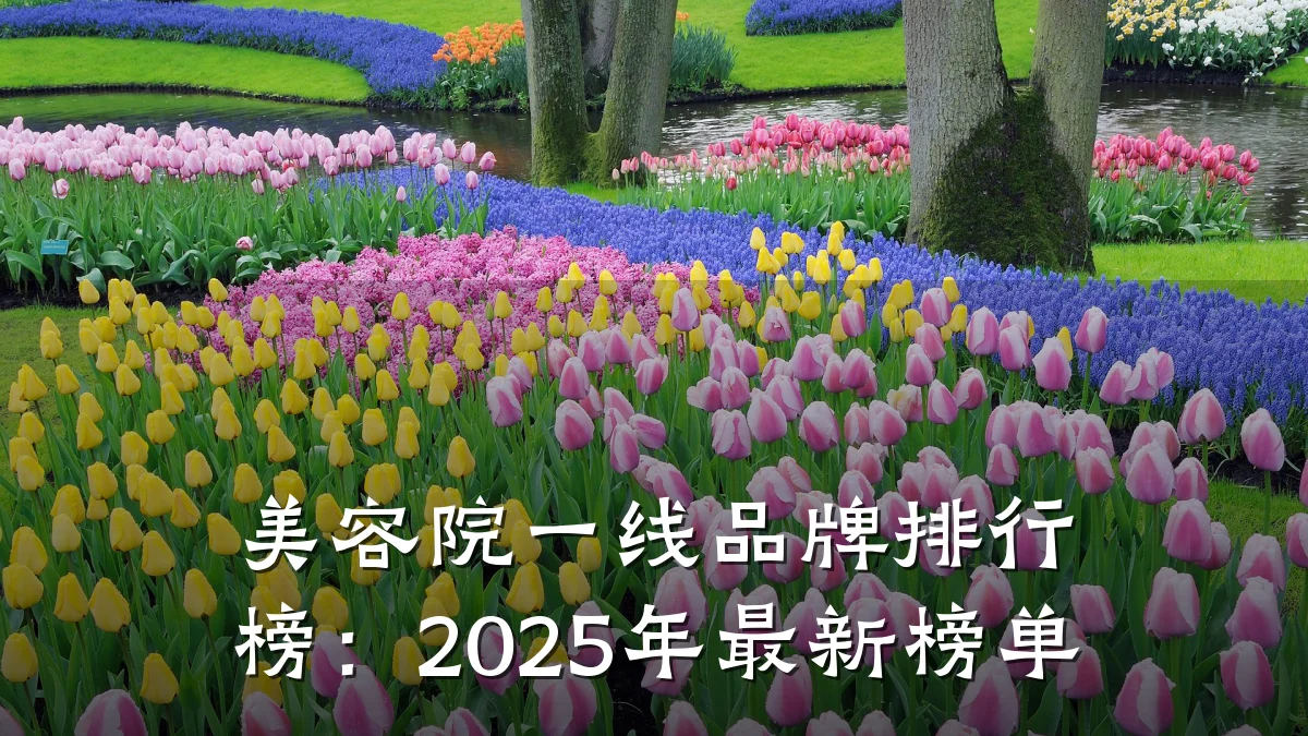 美容院一线品牌排行榜:2025年最新榜单