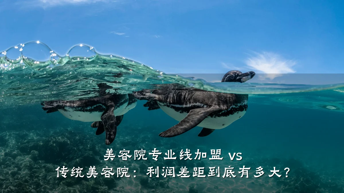 美容院专业线加盟 vs 传统美容院:利润差距到底有多大?