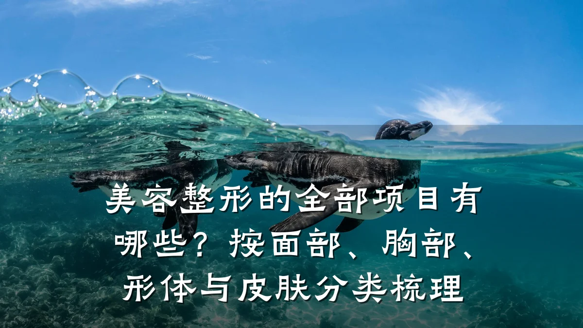 美容整形的全部项目有哪些?按面部、胸部、形体与皮肤分类梳理