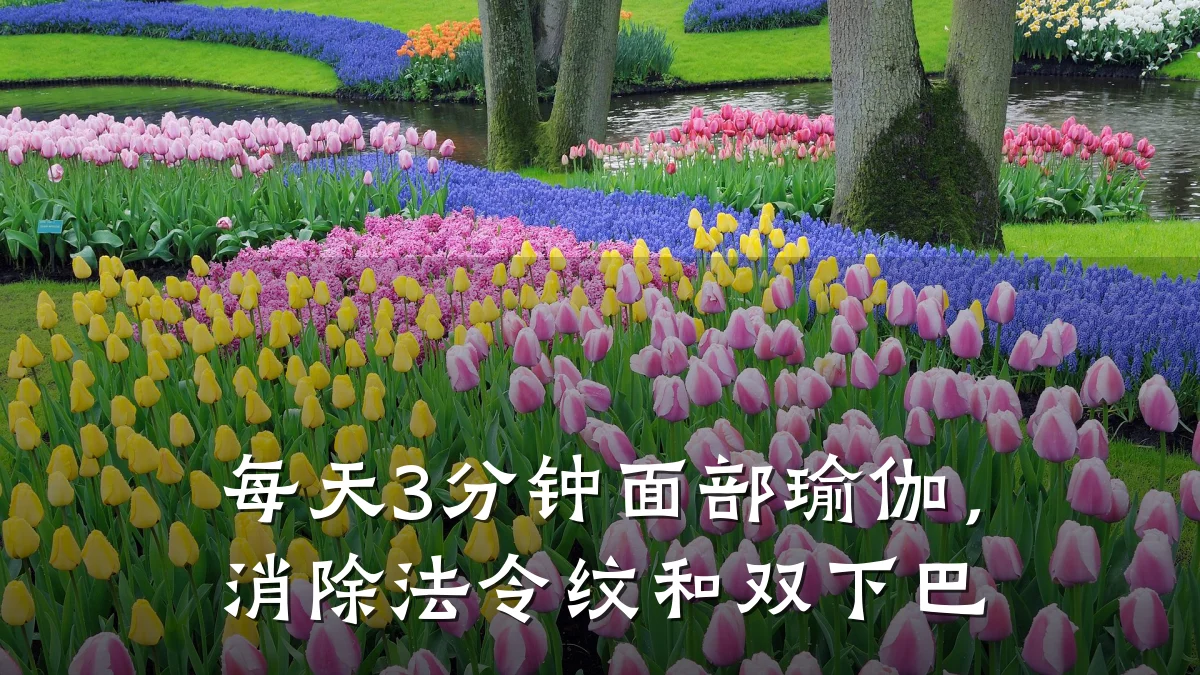 每天3分钟面部瑜伽，消除法令纹和双下巴