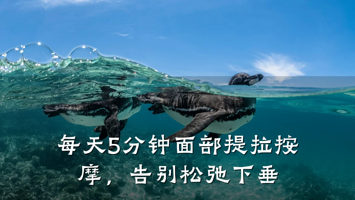 每天5分钟面部提拉按摩,告别松弛下垂
