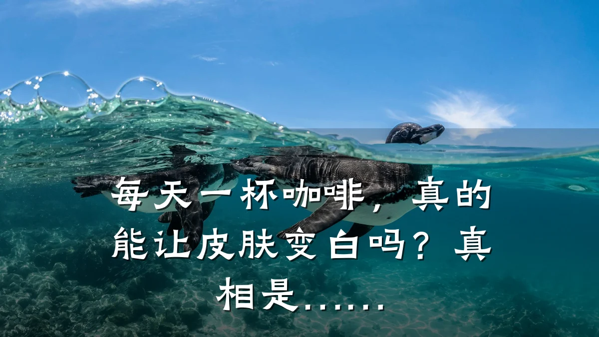 每天一杯咖啡,真的能让皮肤变白吗?真相是……