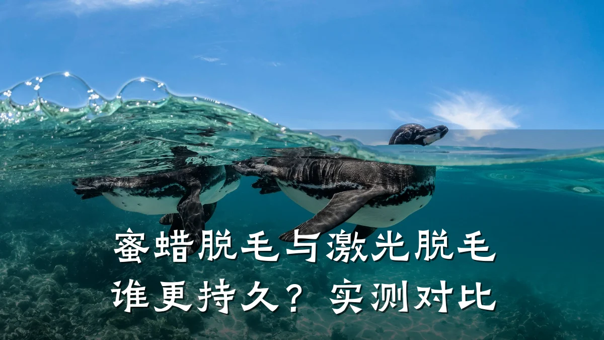 蜜蜡脱毛与激光脱毛谁更持久？实测对比