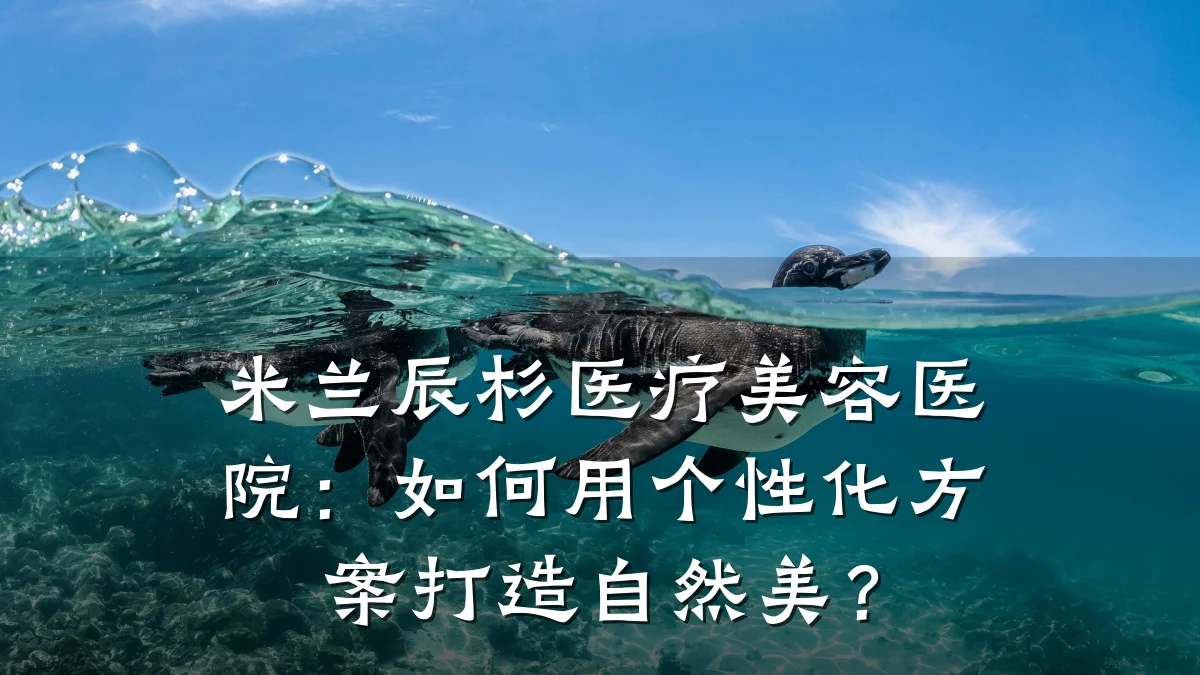 米兰辰杉医疗美容医院:如何用个性化方案打造自然美?