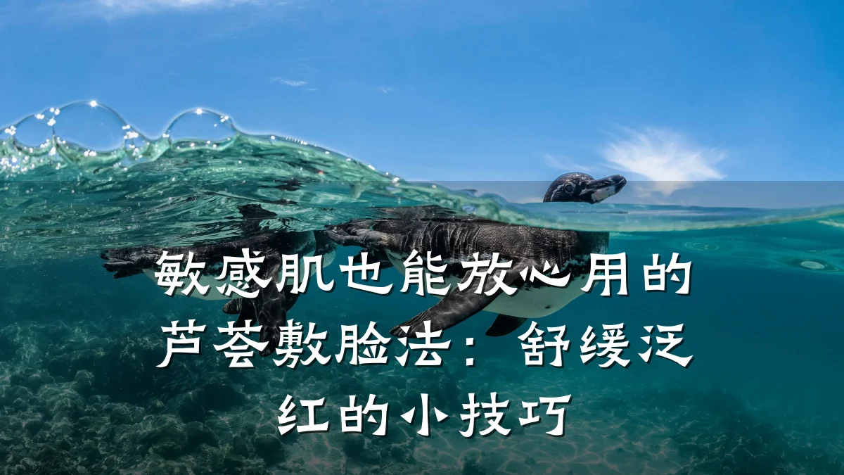 敏感肌也能放心用的芦荟敷脸法:舒缓泛红的小技巧
