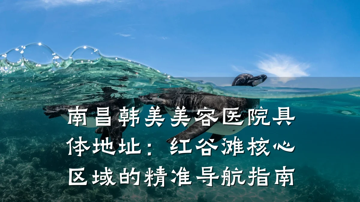 南昌韩美美容医院具体地址:红谷滩核心区域的精准导航指南