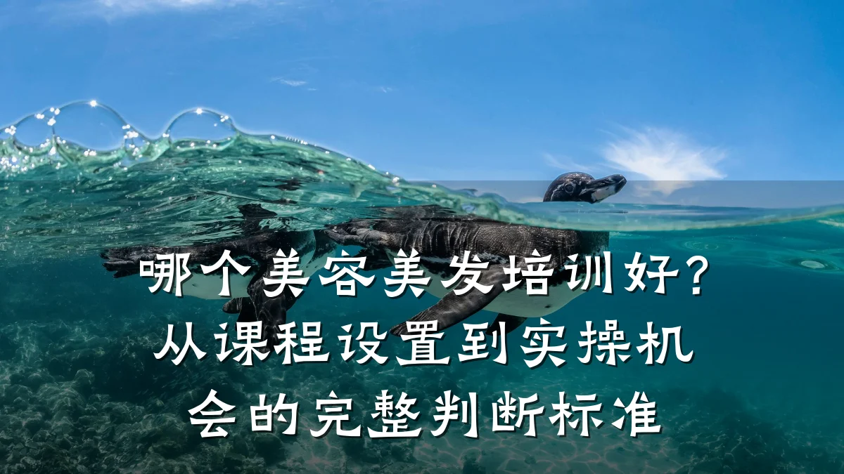 哪个美容美发培训好?从课程设置到实操机会的完整判断标准