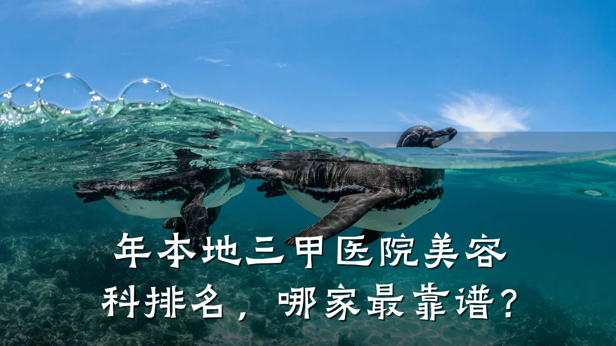 年本地三甲医院美容科排名，哪家最靠谱？