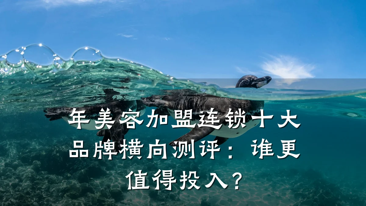 年美容加盟连锁十大品牌横向测评:谁更值得投入?