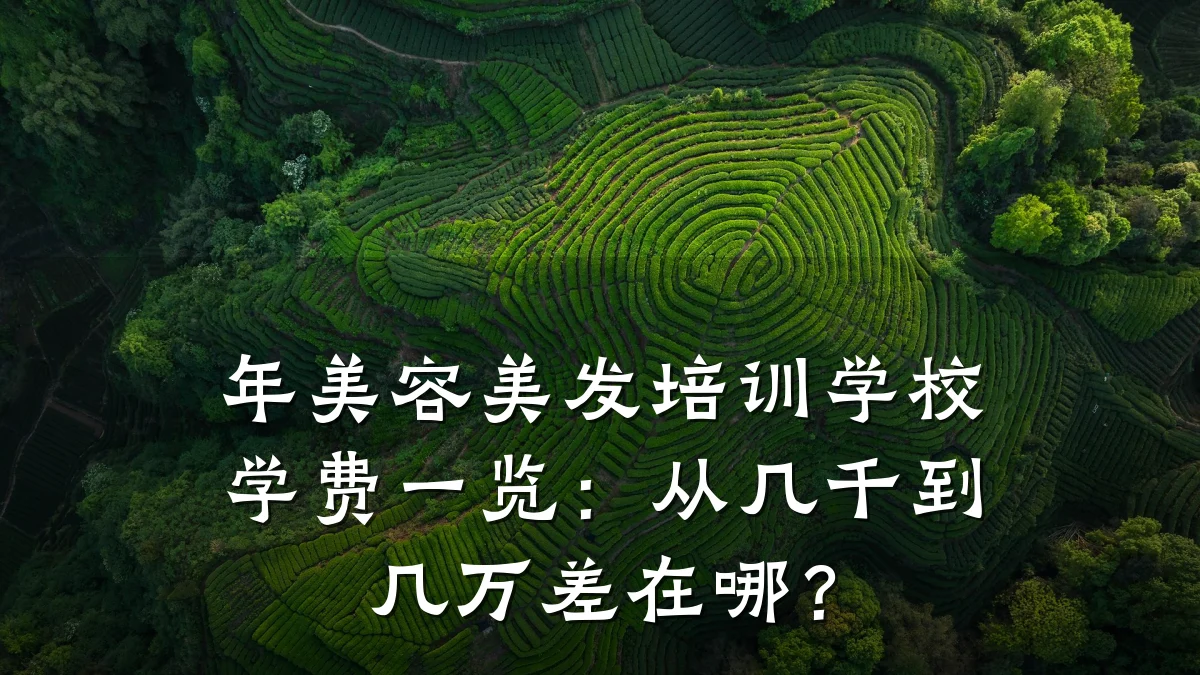 年美容美发培训学校学费一览:从几千到几万差在哪?