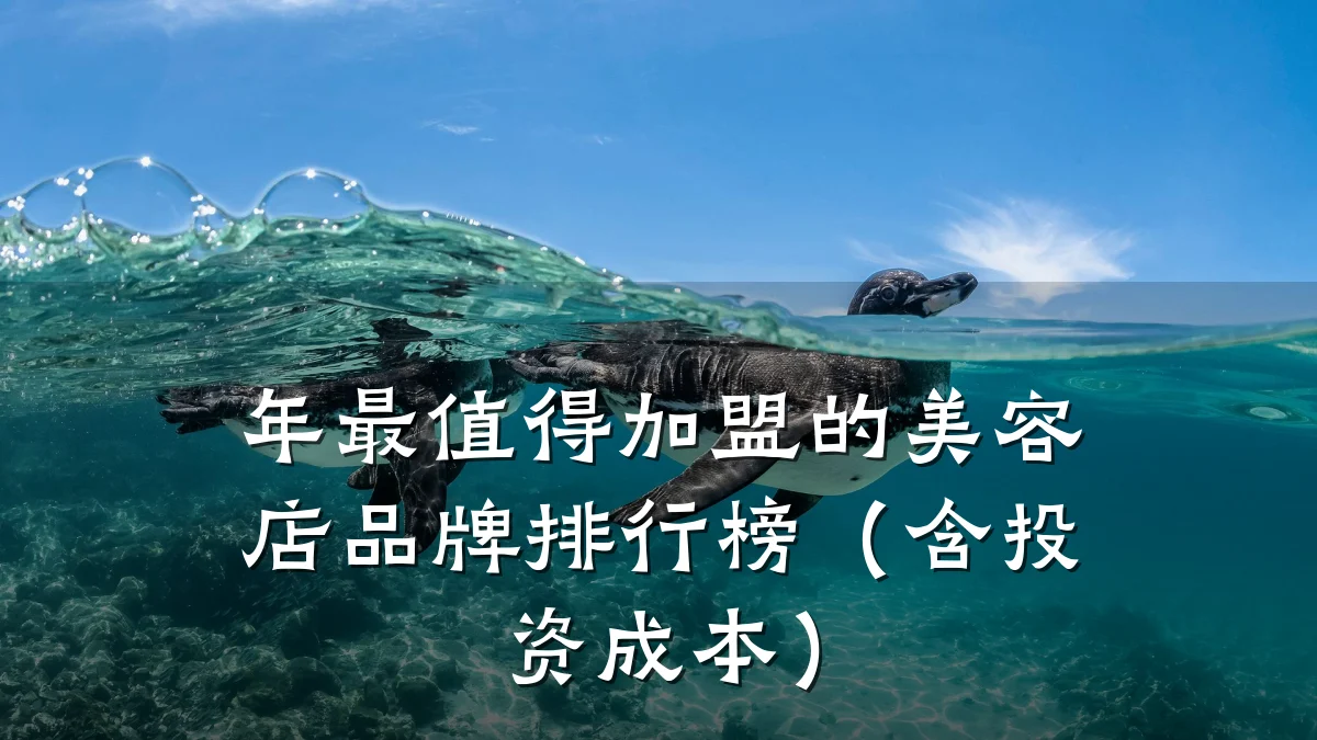 年最值得加盟的美容店品牌排行榜(含投资成本)