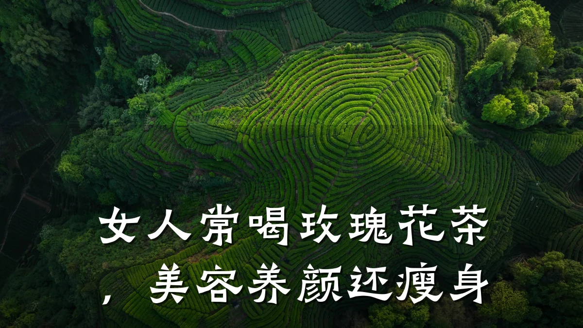 女人常喝玫瑰花茶,美容养颜还瘦身