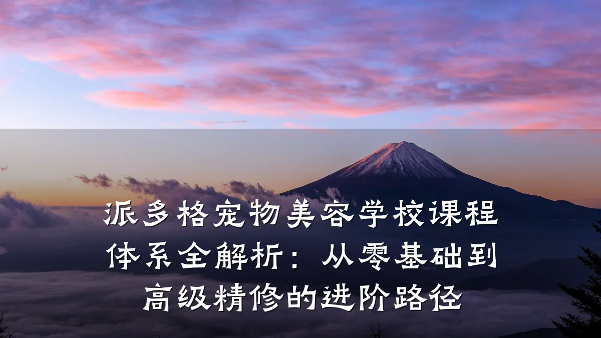 派多格宠物美容学校课程体系全解析:从零基础到高级精修的进阶路径