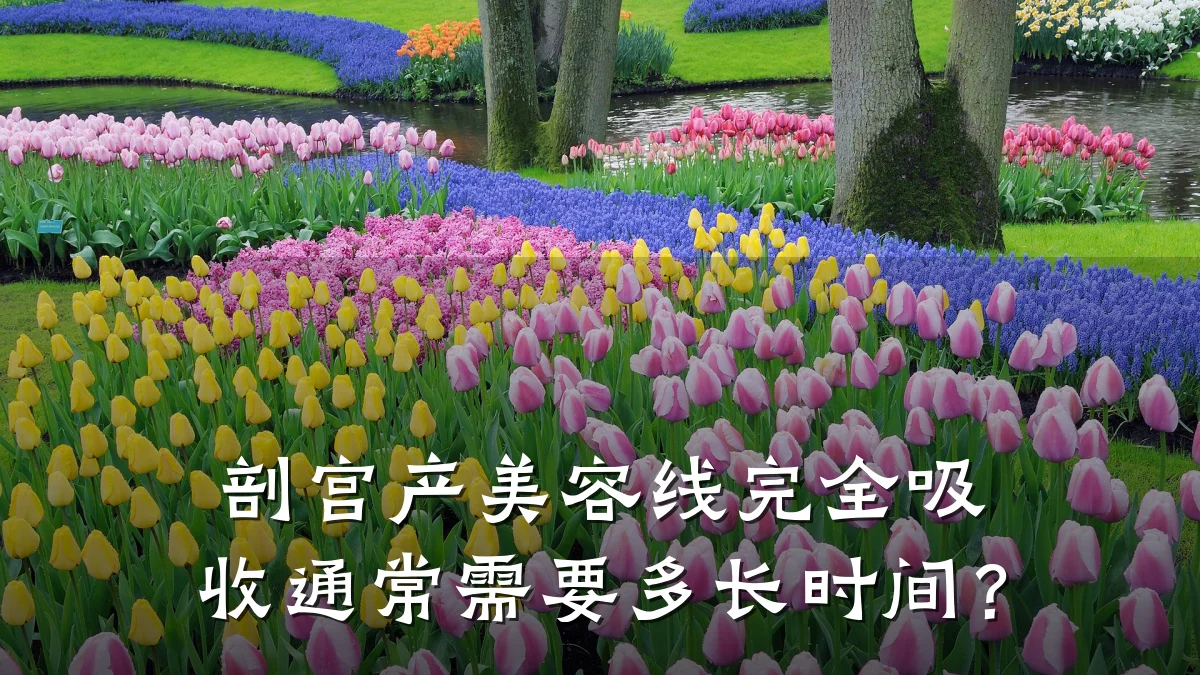 剖宫产美容线完全吸收通常需要多长时间?