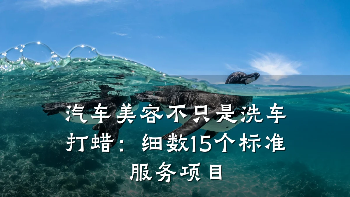 汽车美容不只是洗车打蜡：细数15个标准服务项目