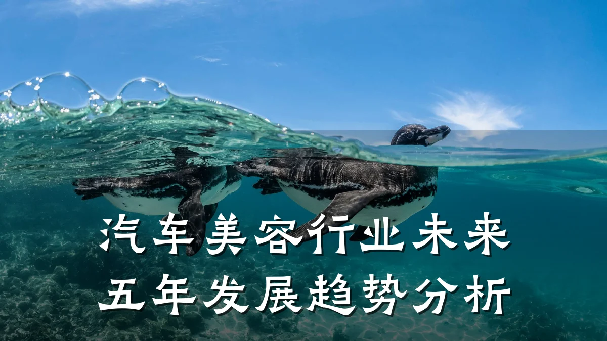 汽车美容行业未来五年发展趋势分析