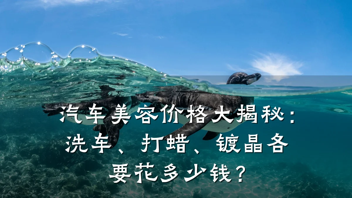 汽车美容价格大揭秘:洗车、打蜡、镀晶各要花多少钱?