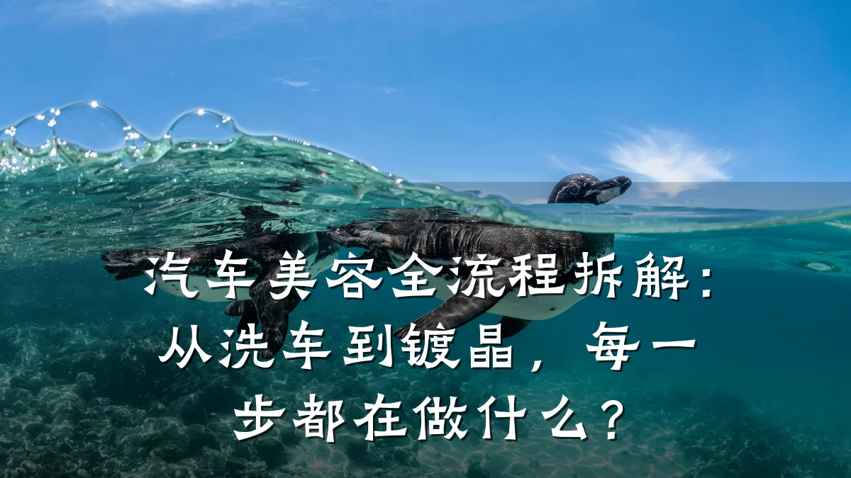 汽车美容全流程拆解：从洗车到镀晶，每一步都在做什么？