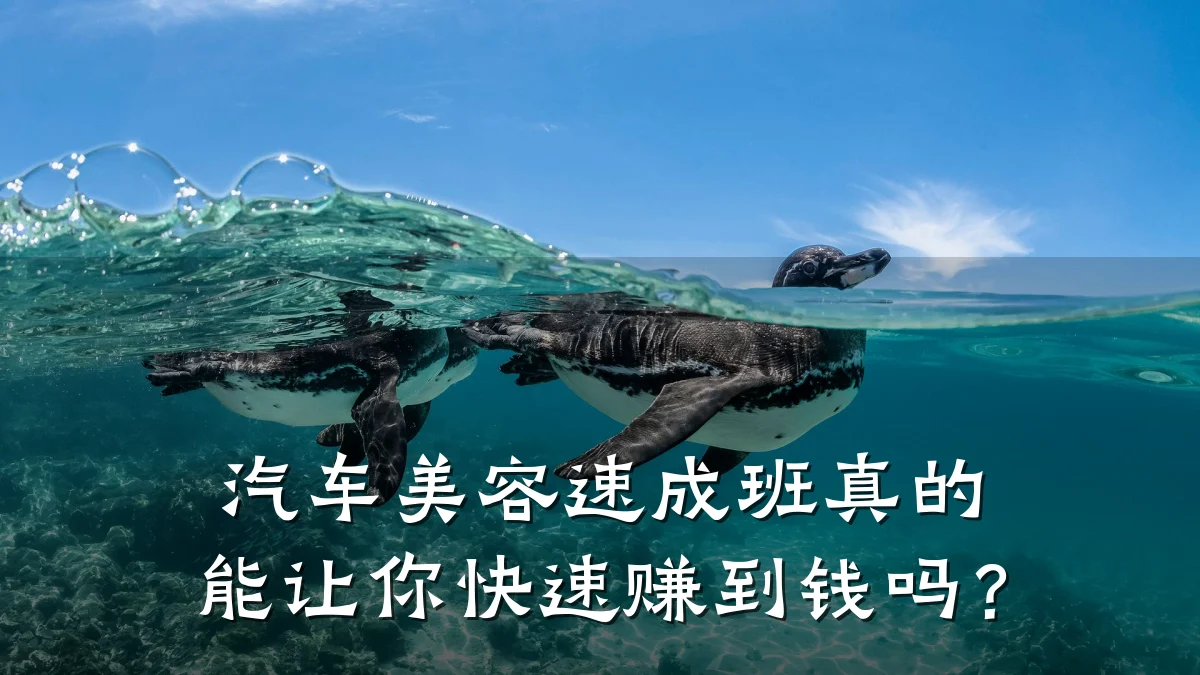 汽车美容速成班真的能让你快速赚到钱吗?
