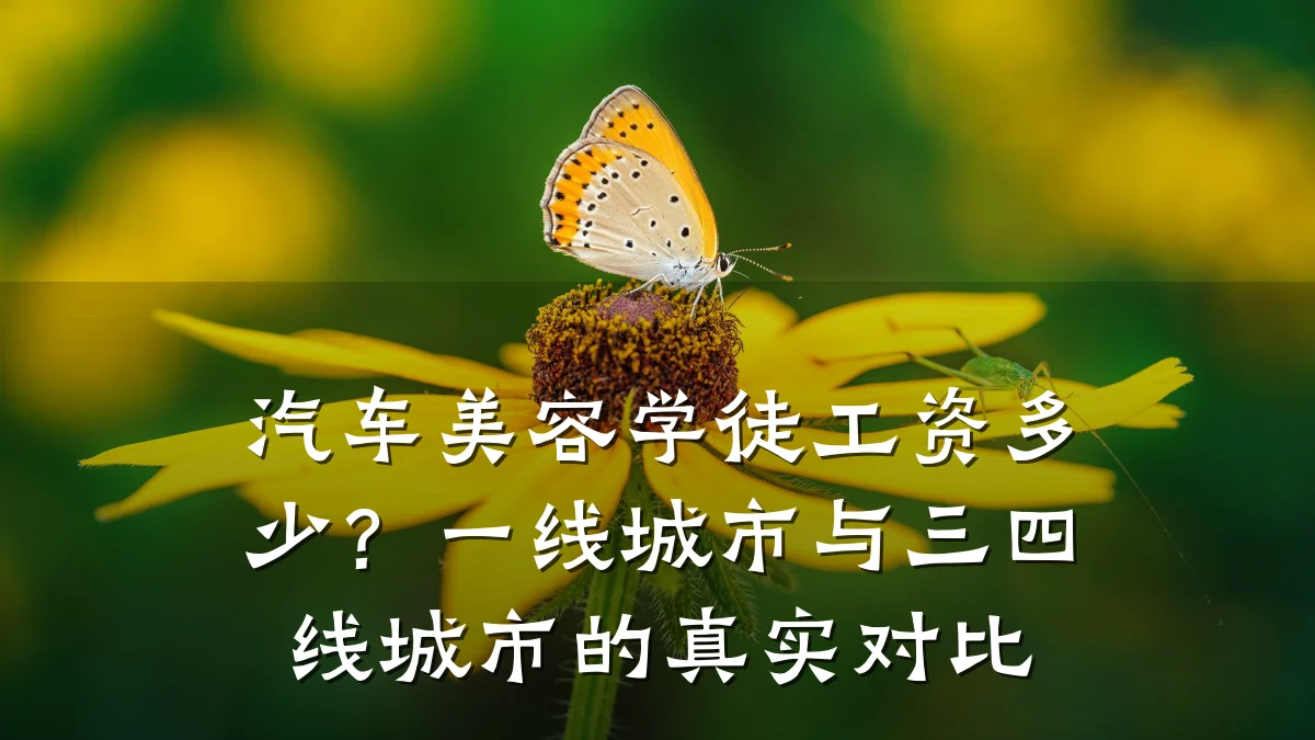 汽车美容学徒工资多少?一线城市与三四线城市的真实对比
