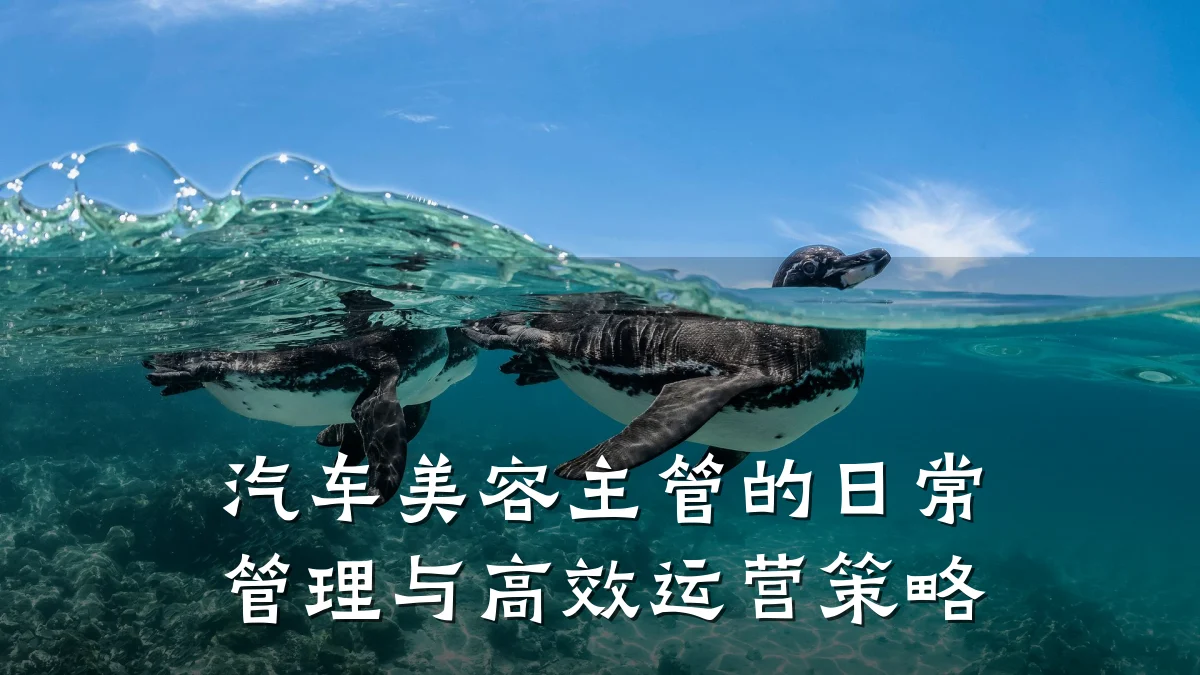 汽车美容主管的日常管理与高效运营策略