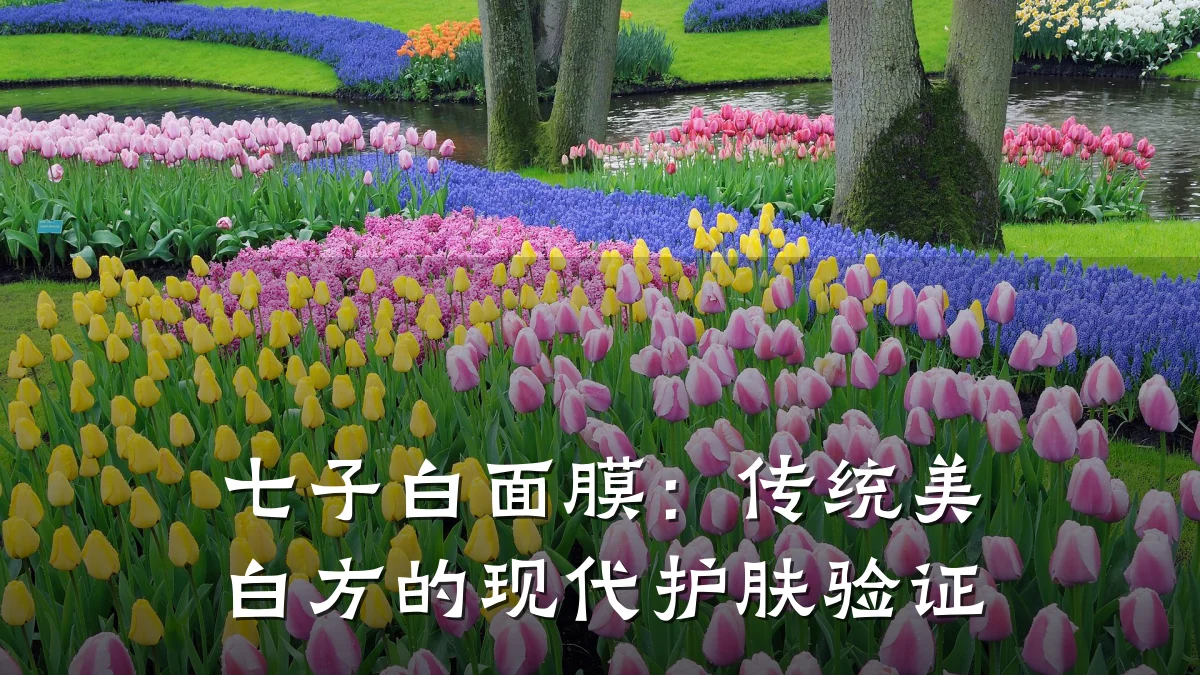 七子白面膜:传统美白方的现代护肤验证