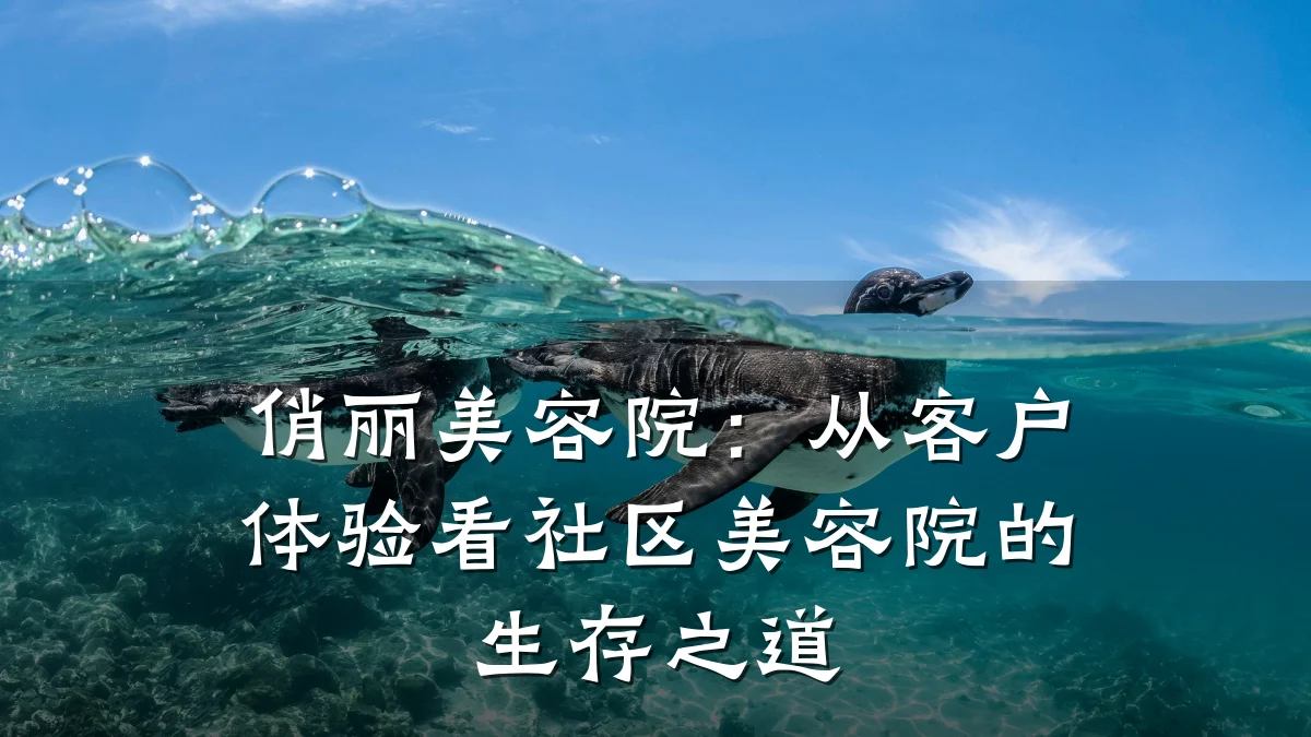 俏丽美容院:从客户体验看社区美容院的生存之道