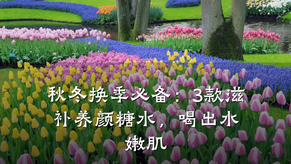 秋冬换季必备:3款滋补养颜糖水,喝出水嫩肌