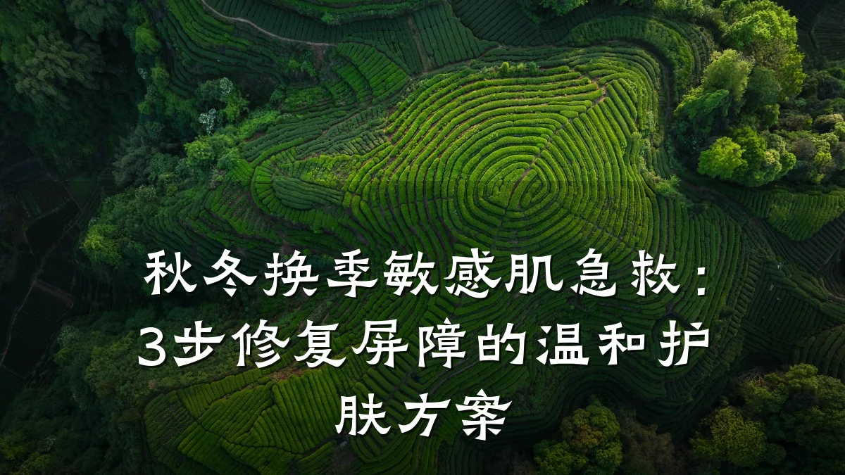 秋冬换季敏感肌急救：3步修复屏障的温和护肤方案