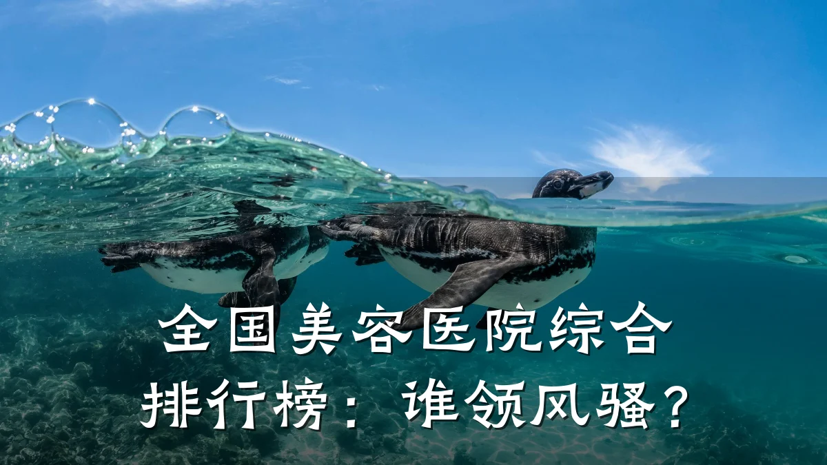 全国美容医院综合排行榜:谁领风骚?