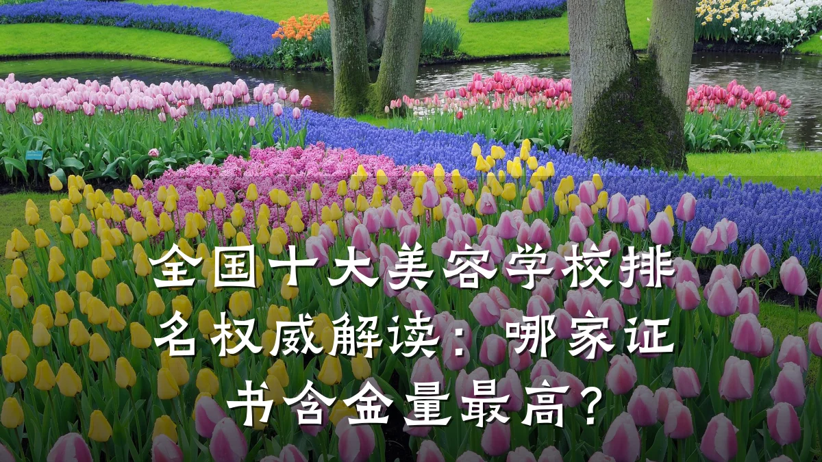 全国十大美容学校排名权威解读：哪家证书含金量最高？