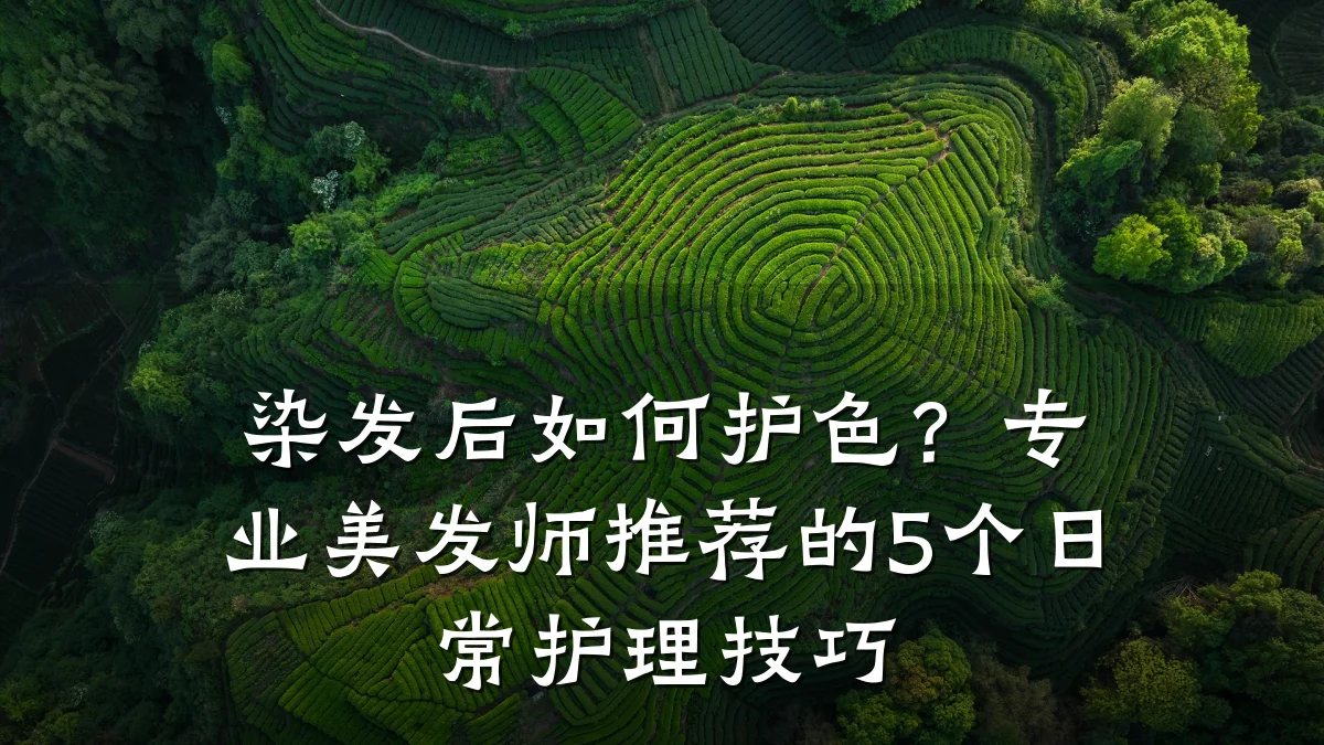 染发后如何护色?专业美发师推荐的5个日常护理技巧