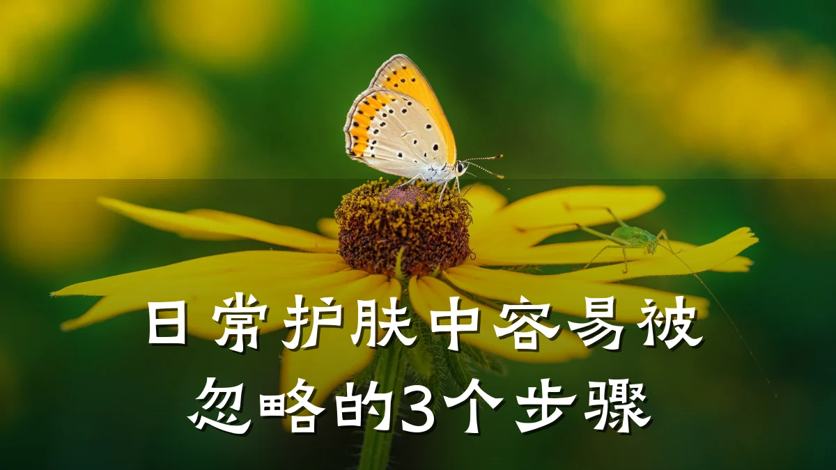 日常护肤中容易被忽略的3个步骤