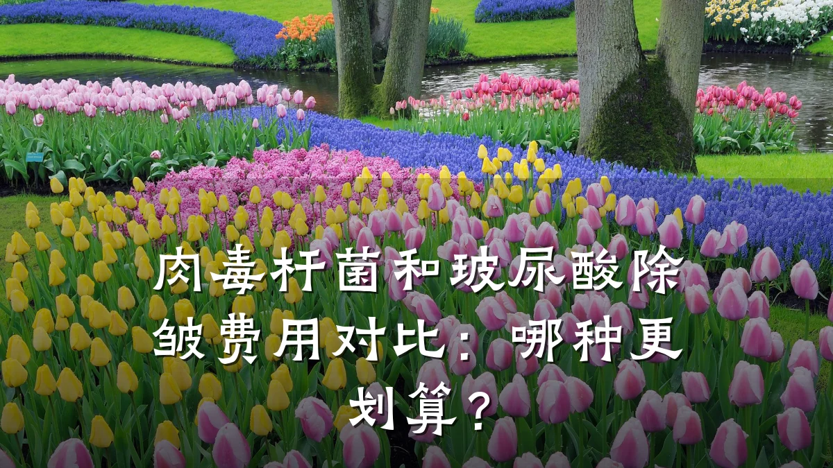 肉毒杆菌和玻尿酸除皱费用对比:哪种更划算?