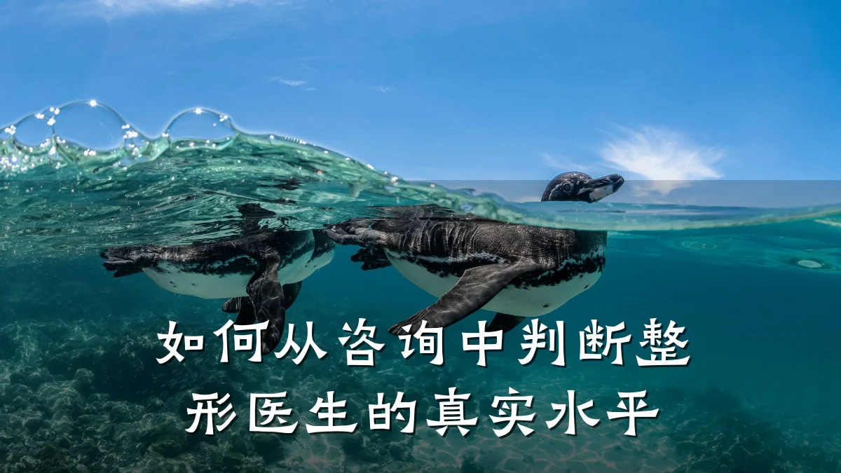 如何从咨询中判断整形医生的真实水平