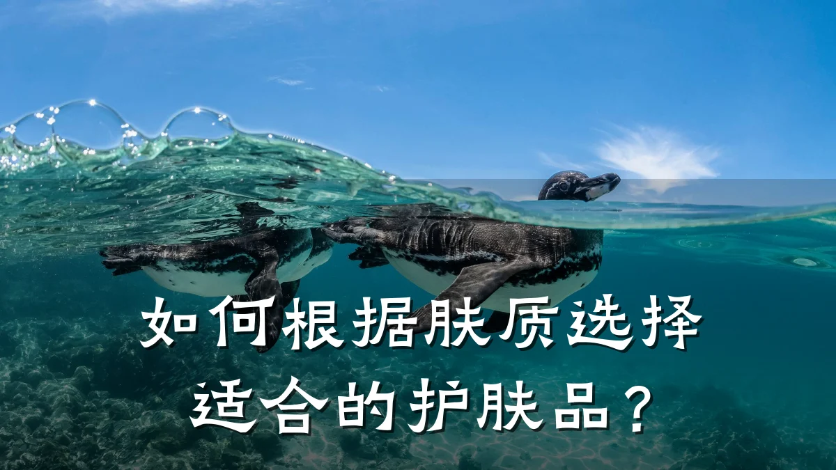 如何根据肤质选择适合的护肤品?
