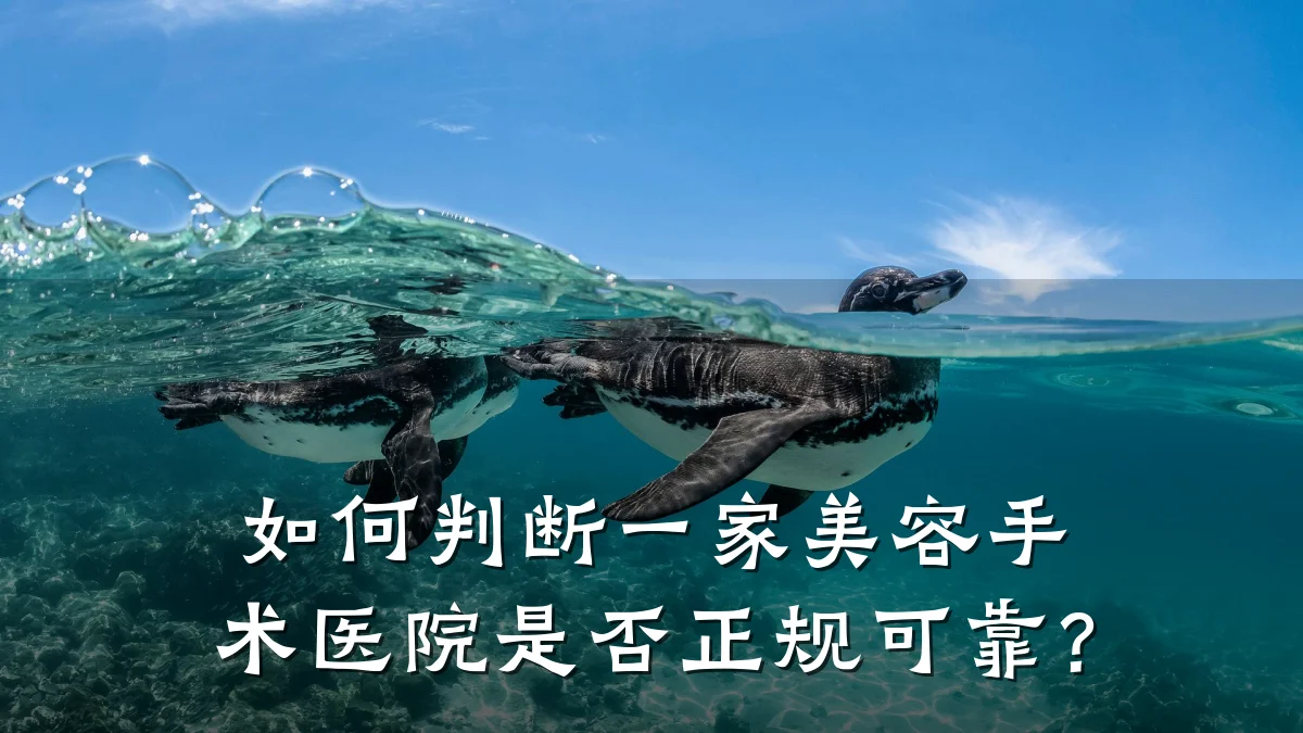 如何判断一家美容手术医院是否正规可靠?