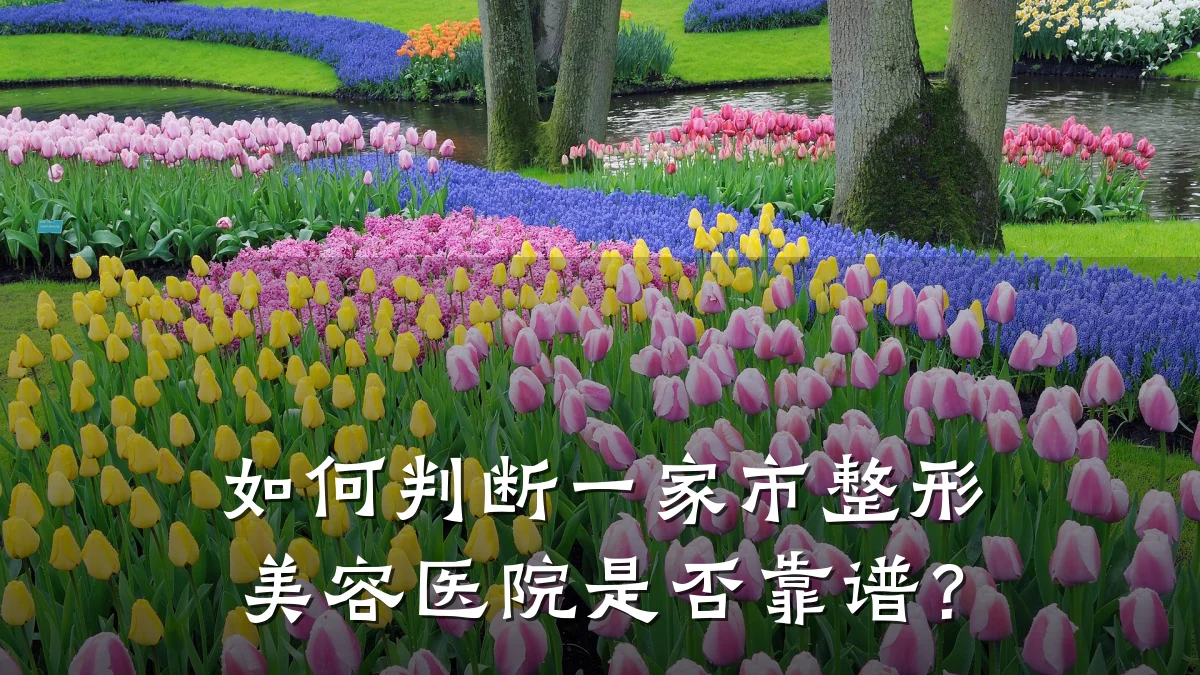如何判断一家市整形美容医院是否靠谱?