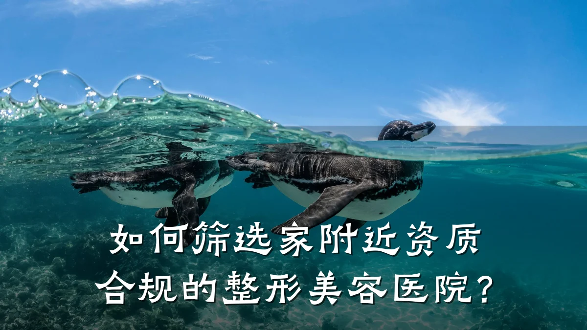 如何筛选家附近资质合规的整形美容医院？