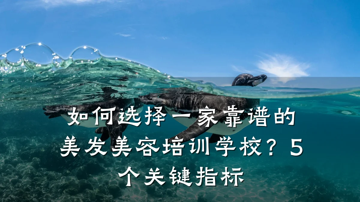如何选择一家靠谱的美发美容培训学校?5个关键指标