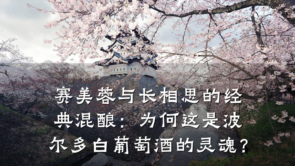 赛美蓉与长相思的经典混酿:为何这是波尔多白葡萄酒的灵魂?