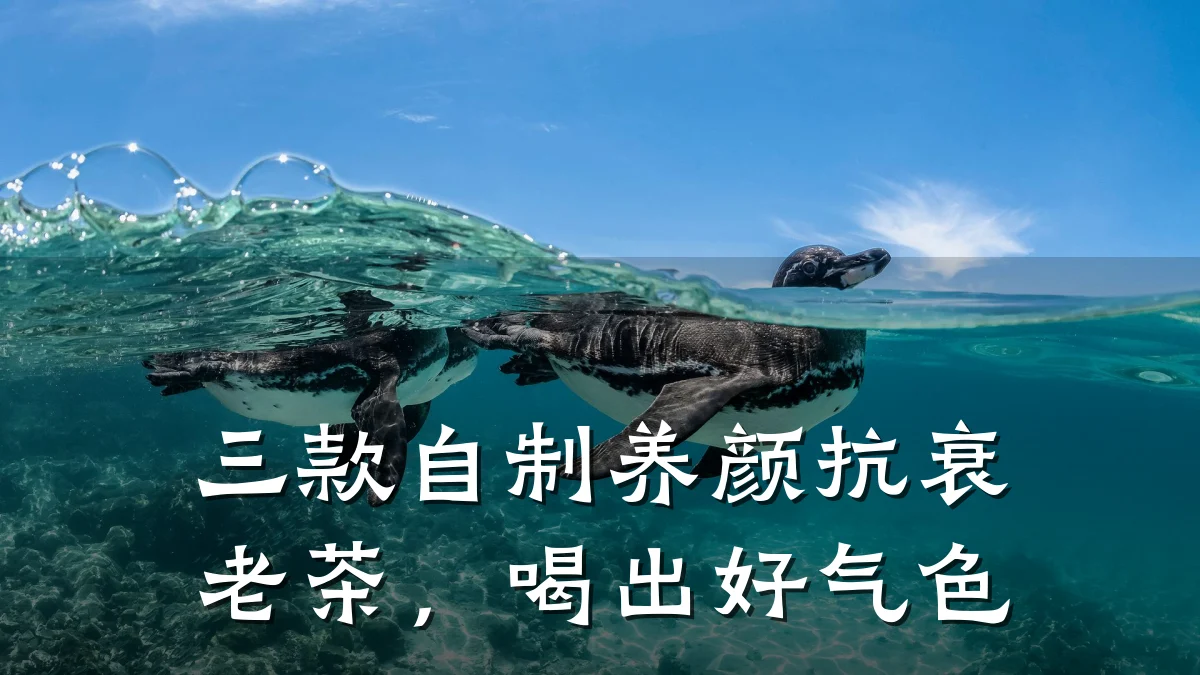 三款自制养颜抗衰老茶，喝出好气色