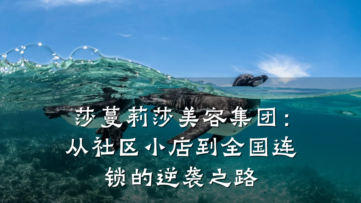 莎蔓莉莎美容集团：从社区小店到全国连锁的逆袭之路