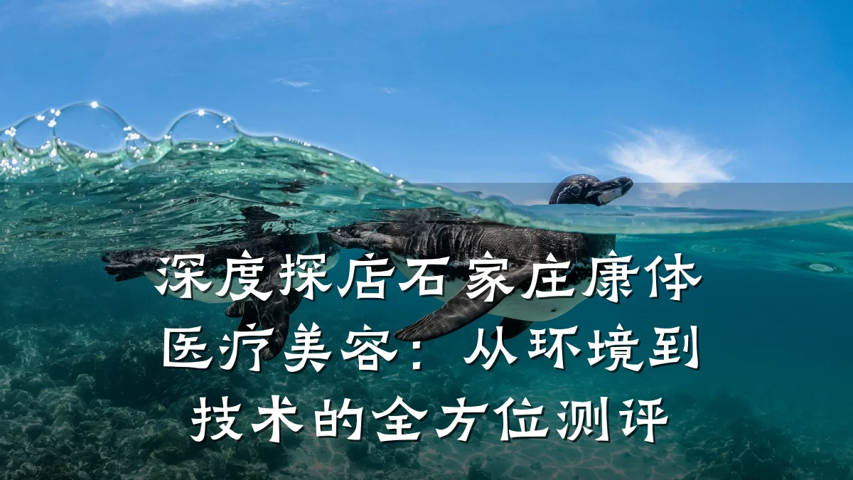深度探店石家庄康体医疗美容:从环境到技术的全方位测评