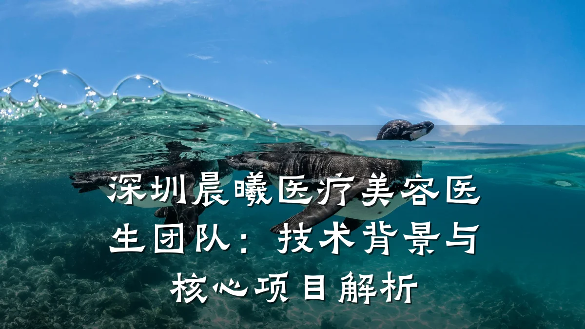 深圳晨曦医疗美容医生团队:技术背景与核心项目解析