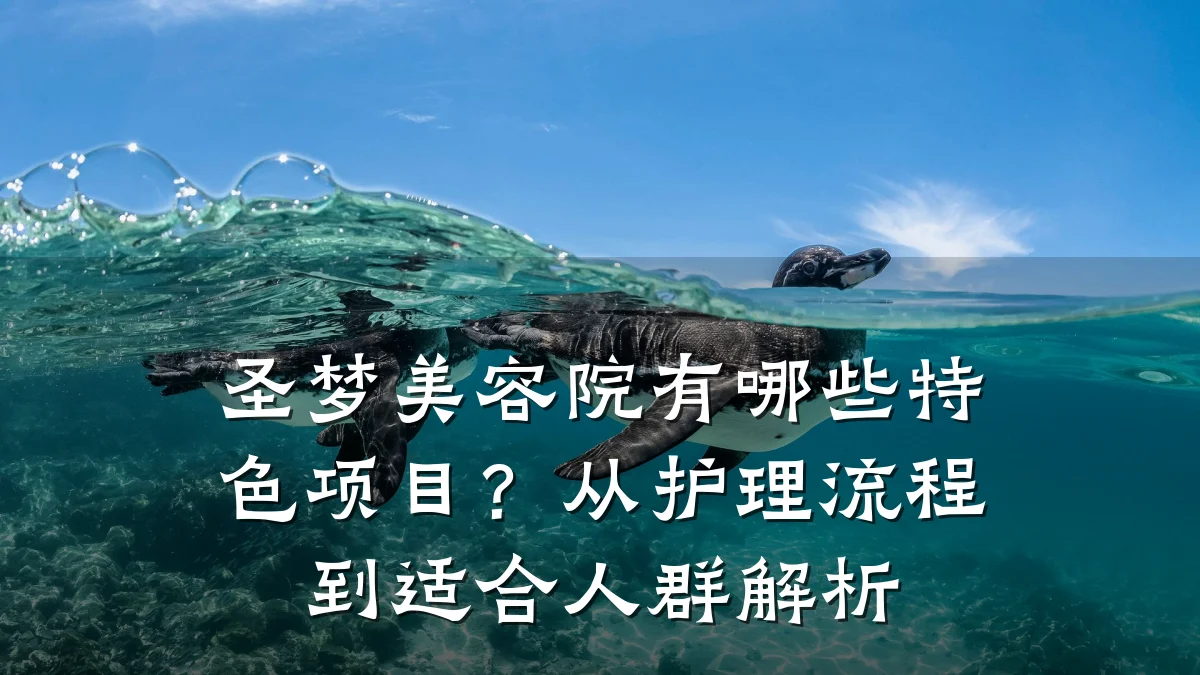 圣梦美容院有哪些特色项目?从护理流程到适合人群解析