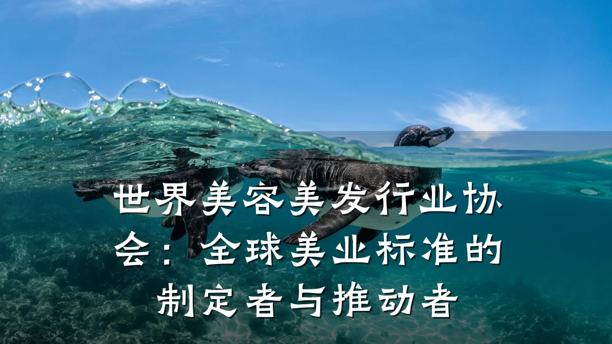 世界美容美发行业协会:全球美业标准的制定者与推动者