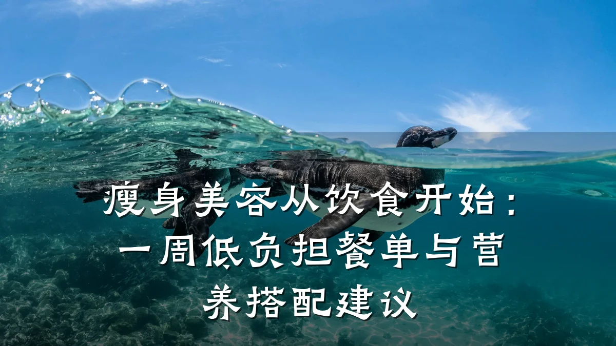 瘦身美容从饮食开始:一周低负担餐单与营养搭配建议
